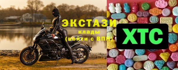 гашик Богородск