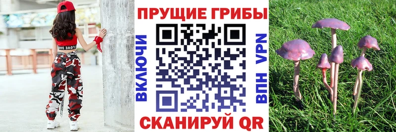 Галлюциногенные грибы MAGIC MUSHROOMS  Кинель 