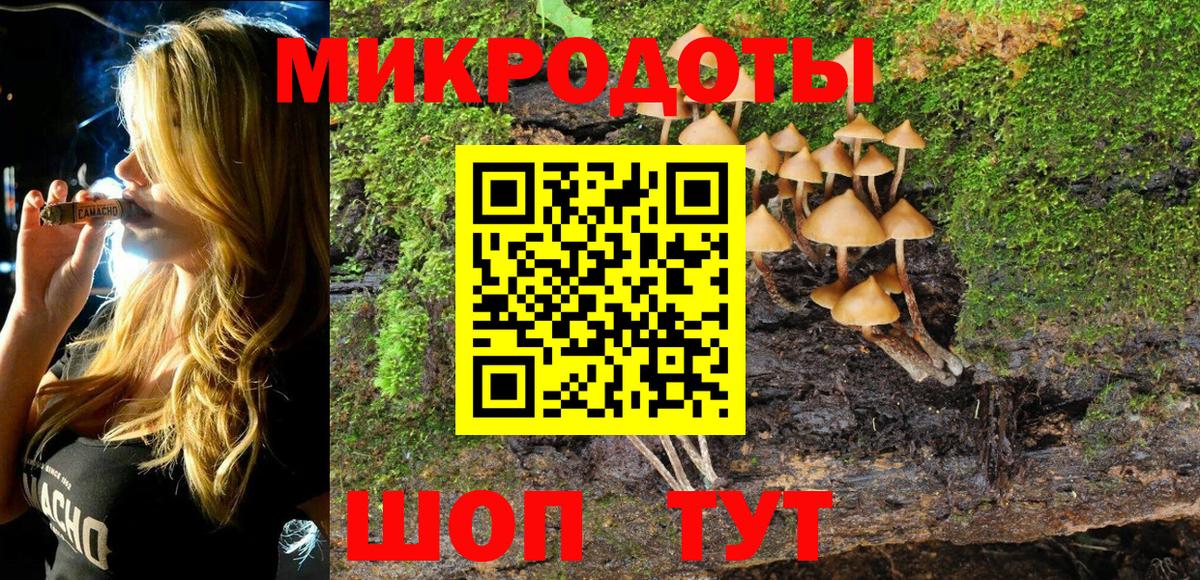 Галлюциногенные грибы Psilocybine cubensis Кинель
