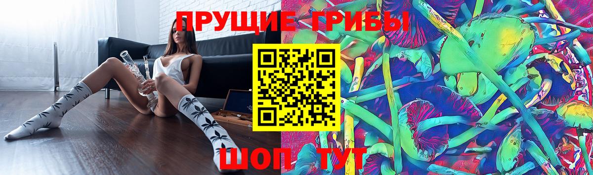 Кинель  Псилоцибиновые грибы ЛСД  Вход с VPN 