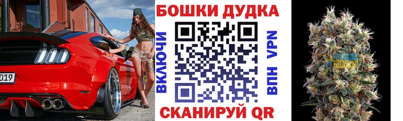 МЕГА ONION  купить наркотик  Кинель  Канабис VHQ 